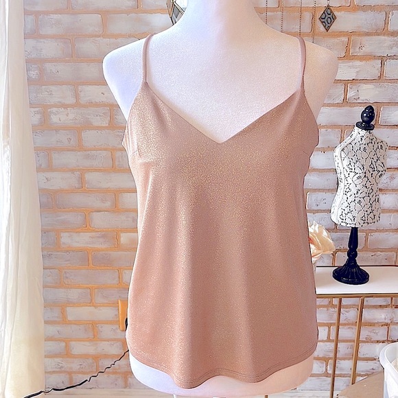 Express Metallic V-Neck Downtown Cami in the color “Ginger” Women’s Size X-Small - Picture 6 of 11